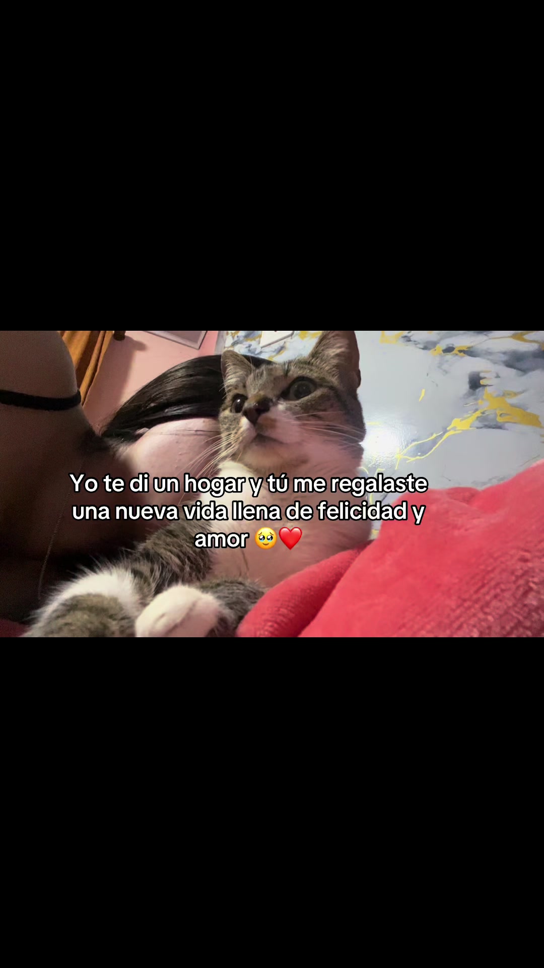 @Leidy