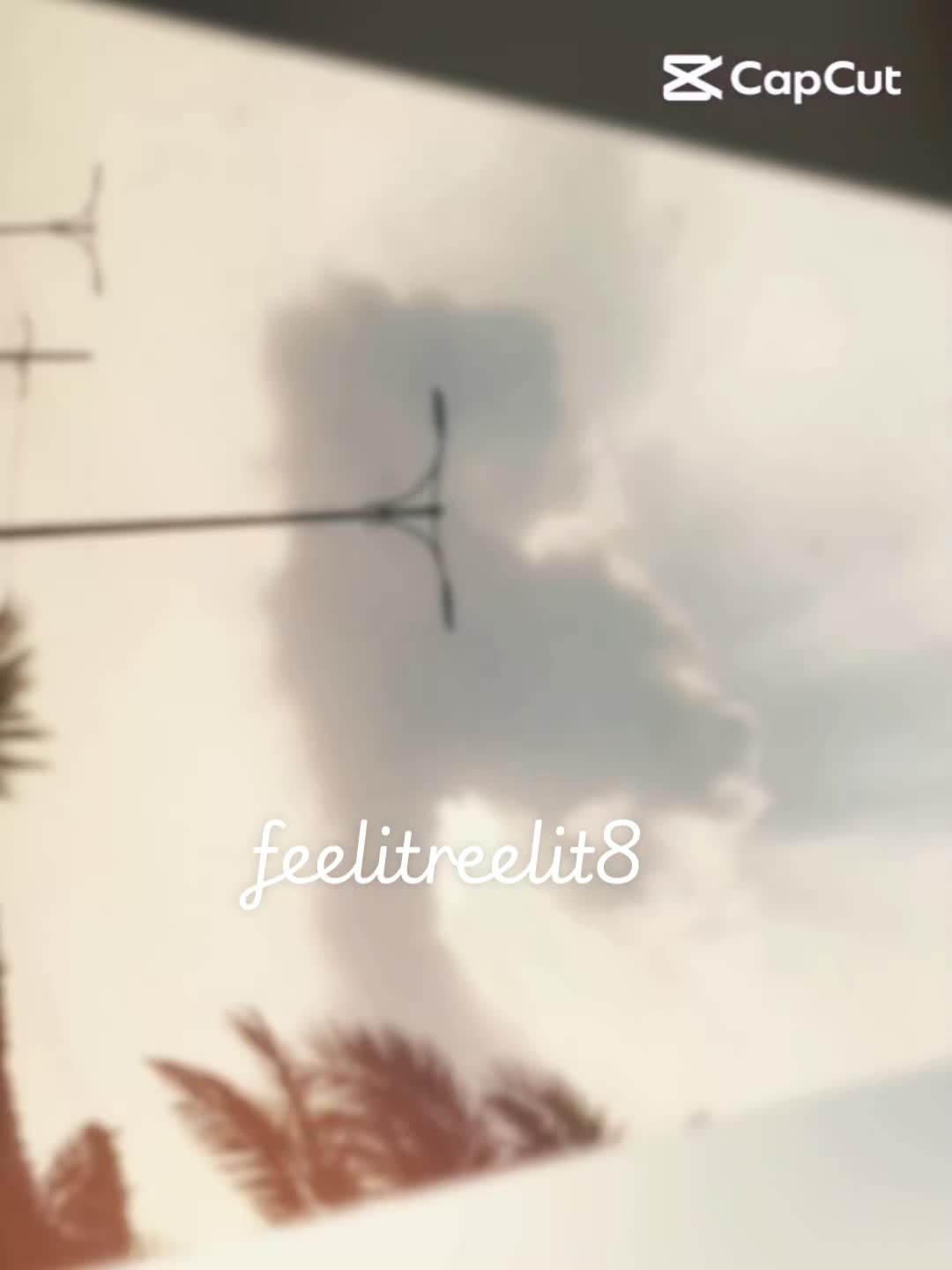 @feelitreelit