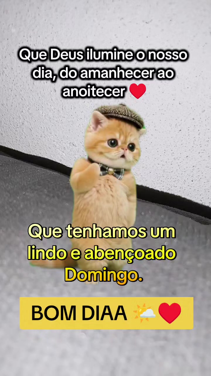 @girassol🌻