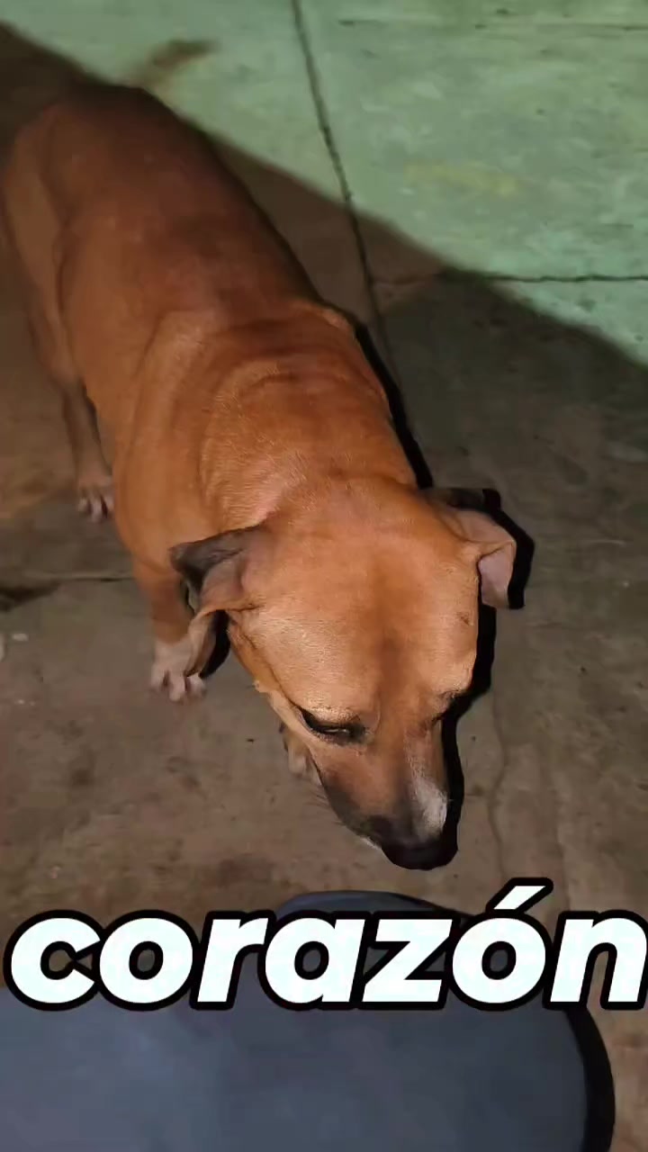 @Benny