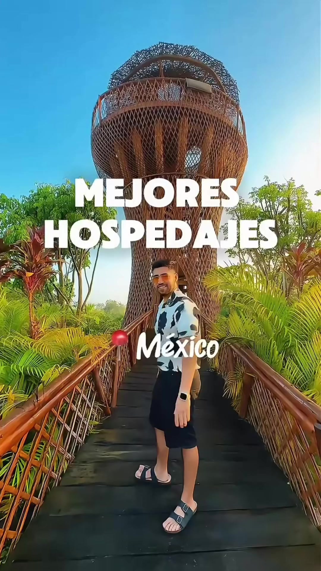 @niveckbritto
