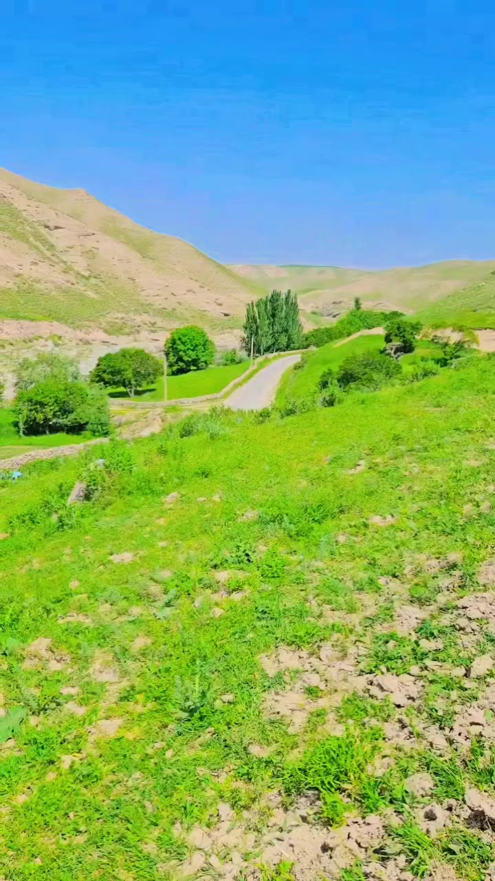 @jasurbek03