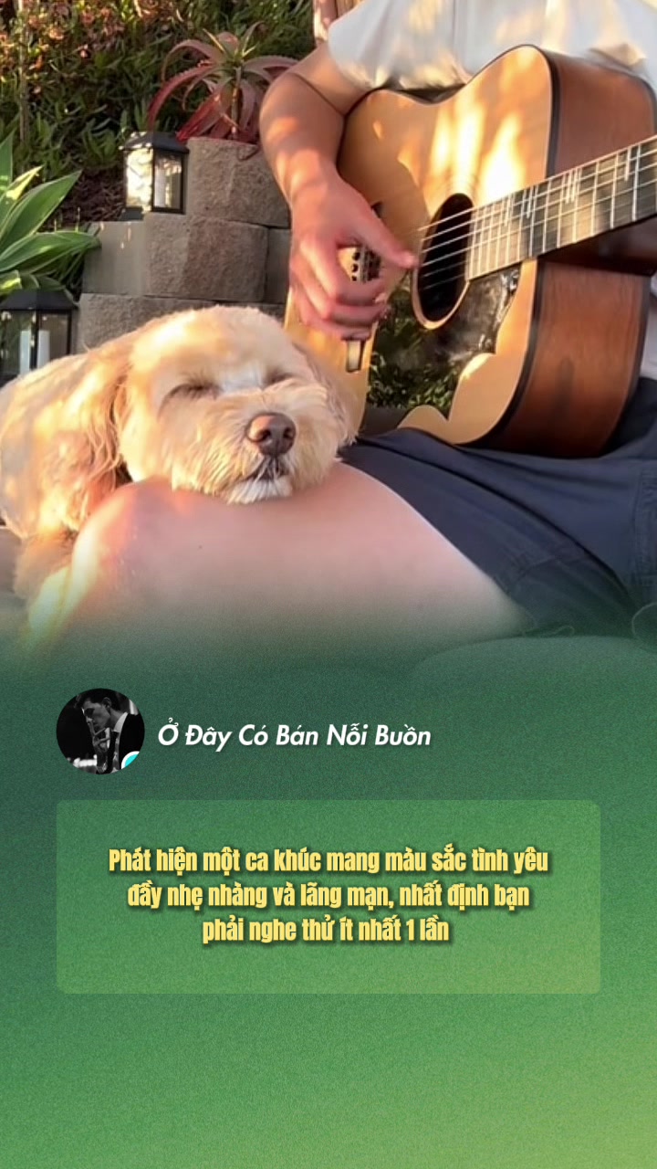 @Ở Đây Có Bán Nỗi Buồn 😊