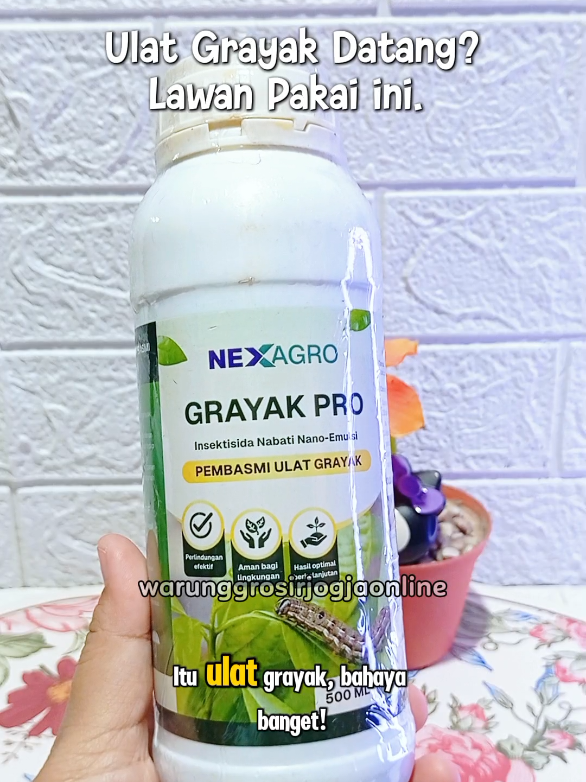 @warung grosir jogja online