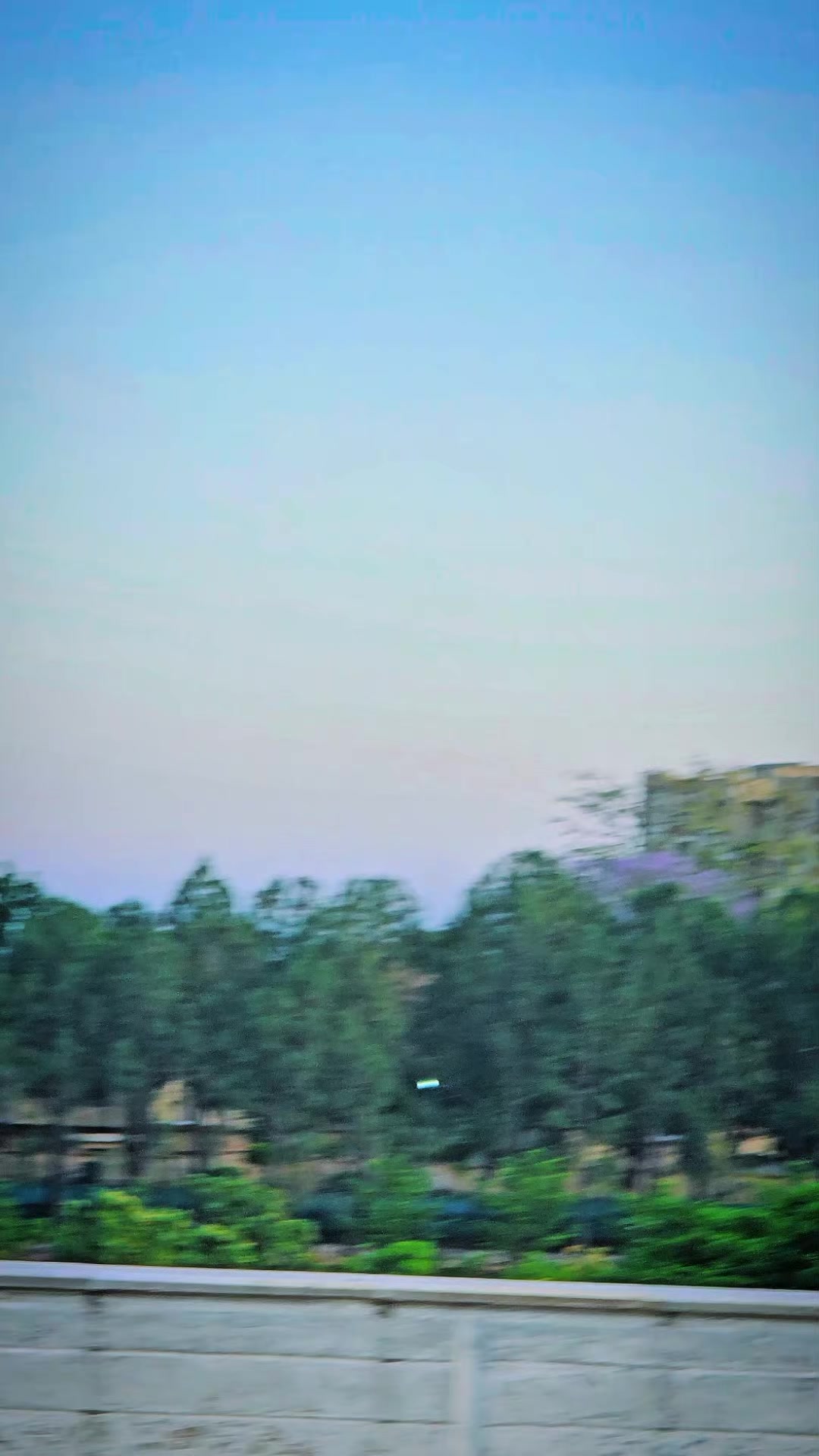 @༼ ❌↗ 𝙎𝘿𝙍.spinwal ↖ ༽❌