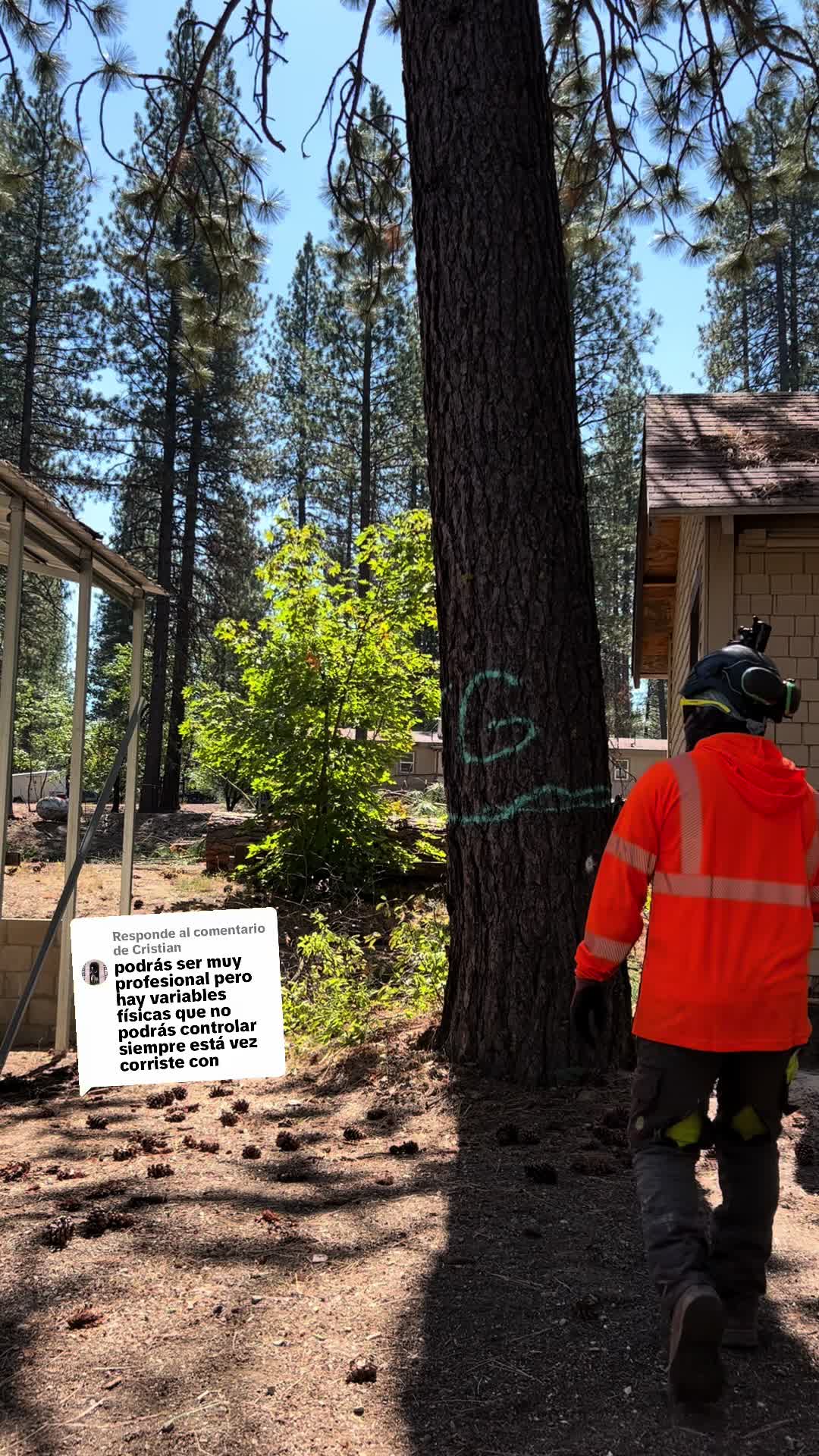 @Ariel villatoro 🌲🪵