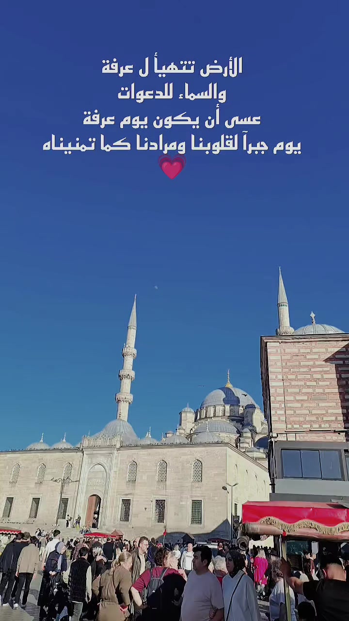 @☆𝑵𝒆𝒔𝒓𝒊𝒏𝒆☆