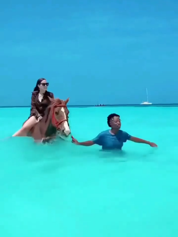@Travel_Star360
