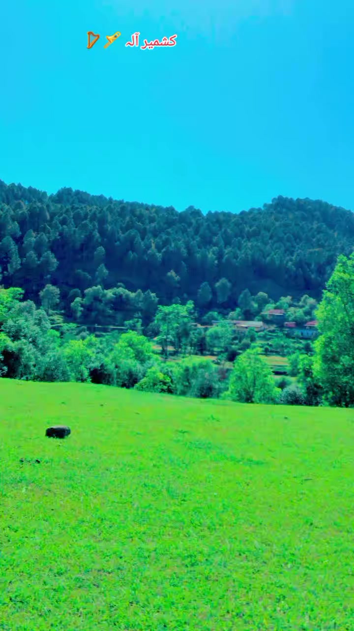@💥کشمیری 💫سدوزئی🔥