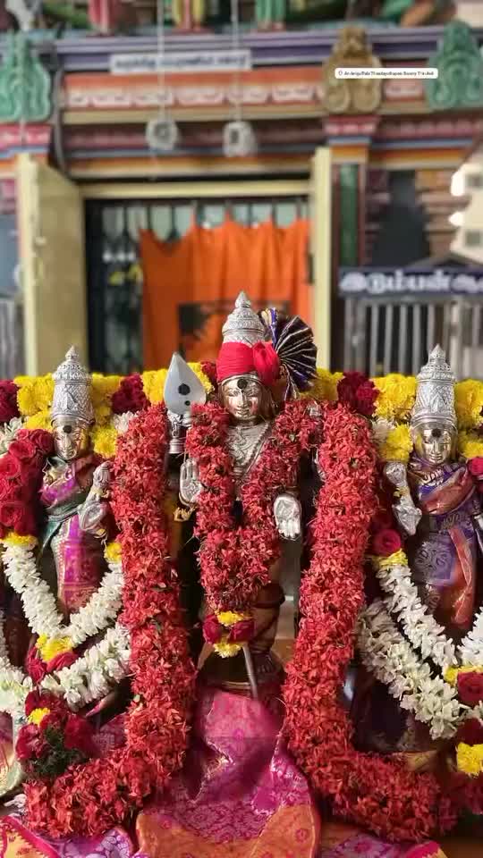 @Shalini Shalini