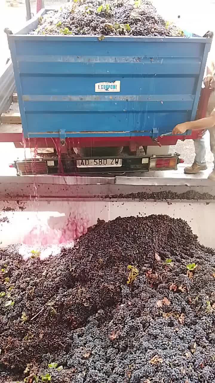 @Massimovita Pompigna