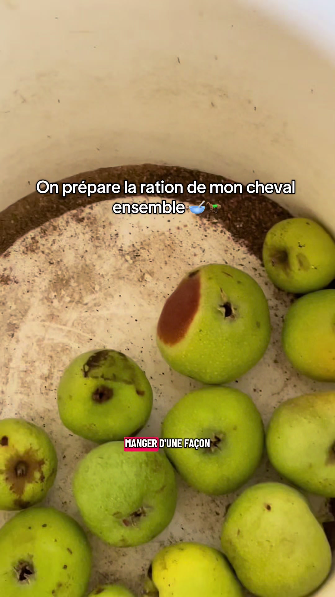 @Rolly&compagnie