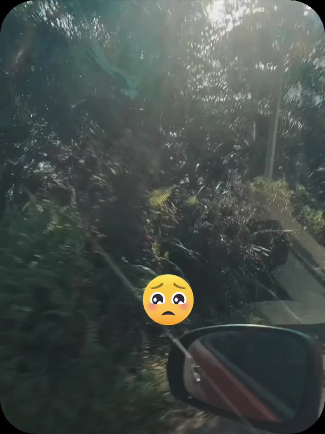 @๖ۣ•҉ṃєʟʟԀєʟяȏṡєᥫᩣ