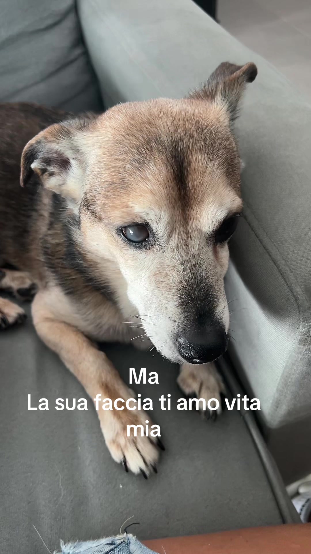 @Very peppe 💖💙