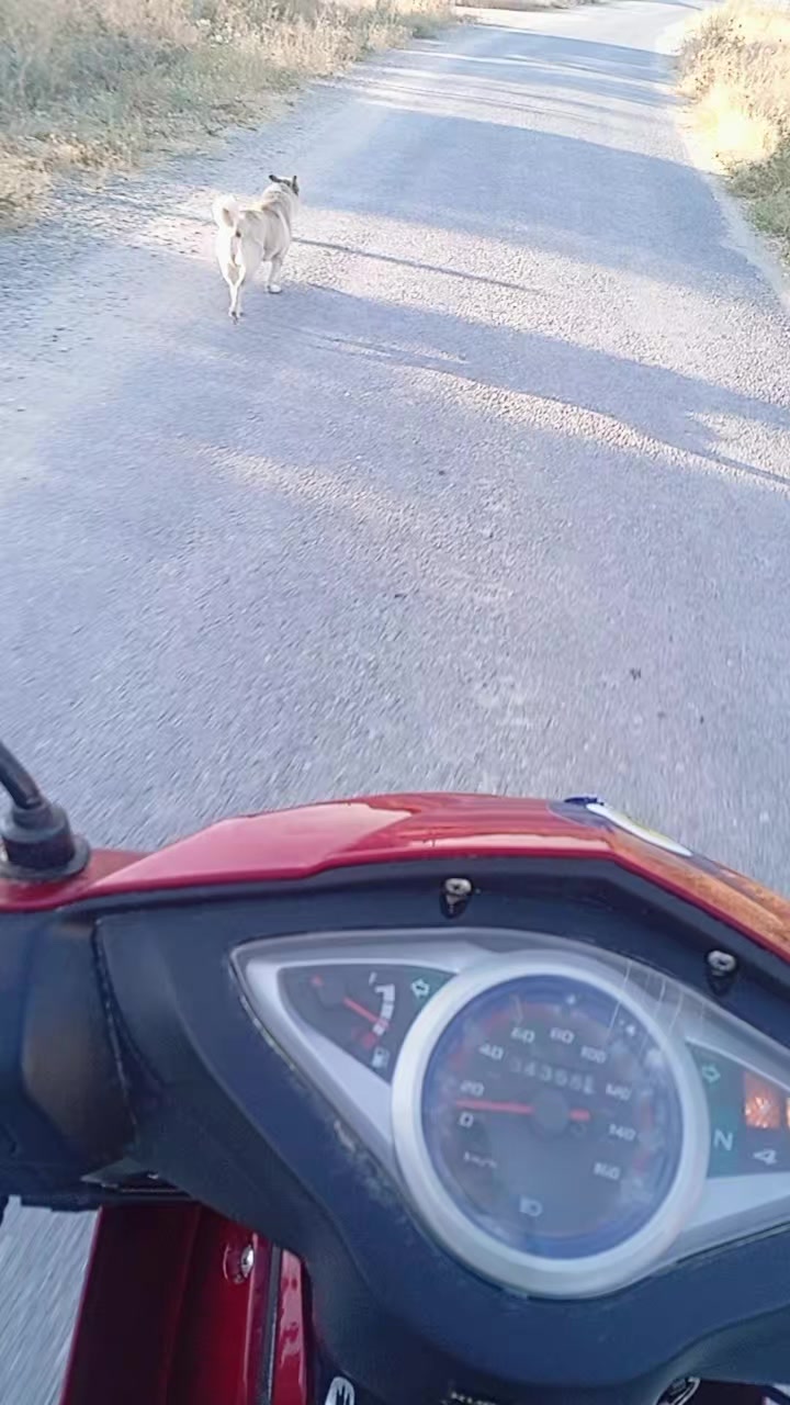 @motorcukız4242