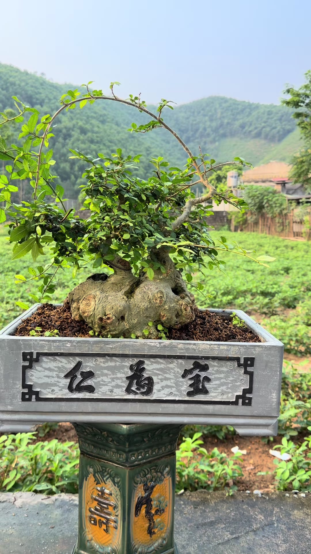 @Anh công