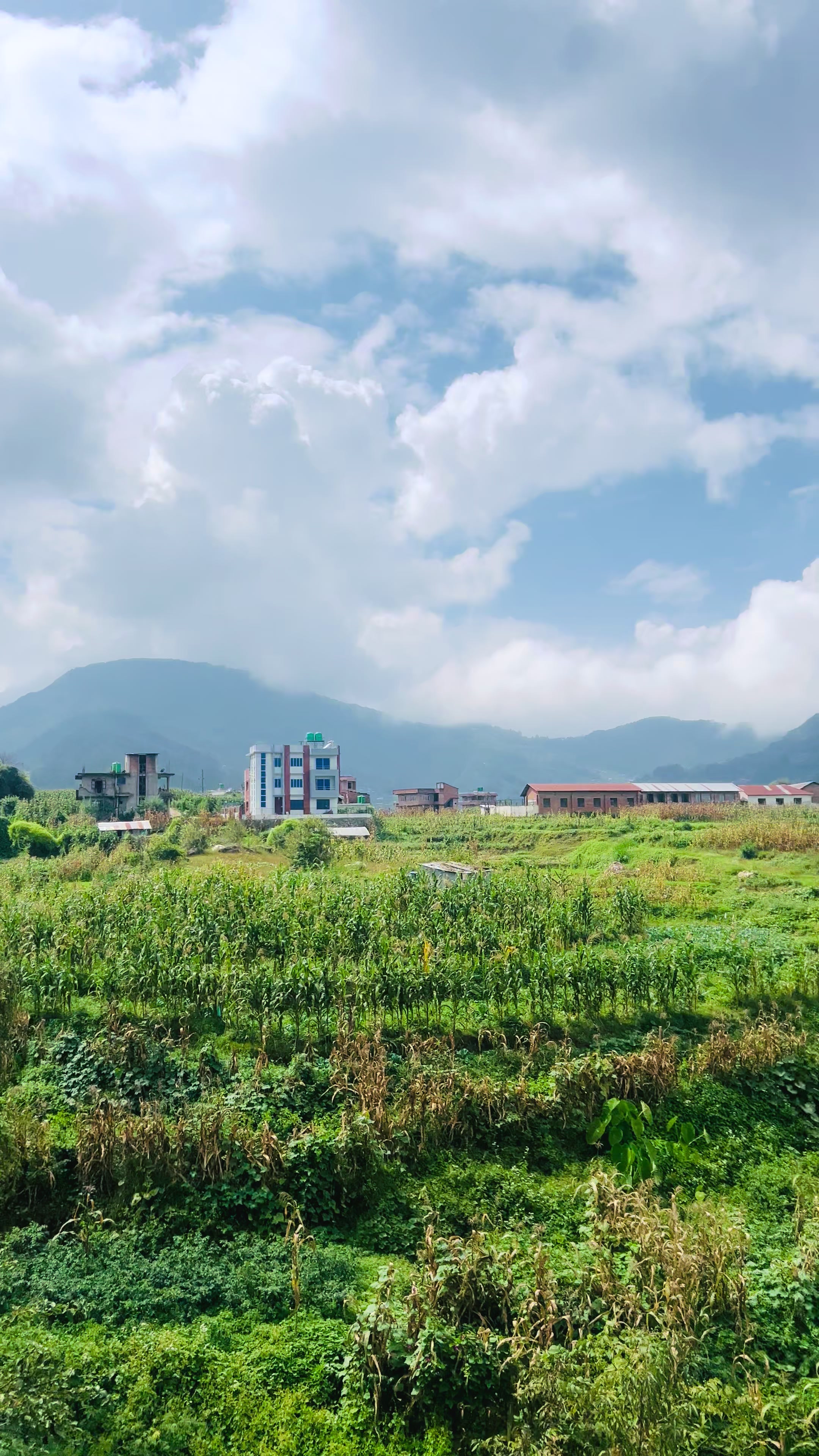 @Palung Beauty Khabar🇳🇵