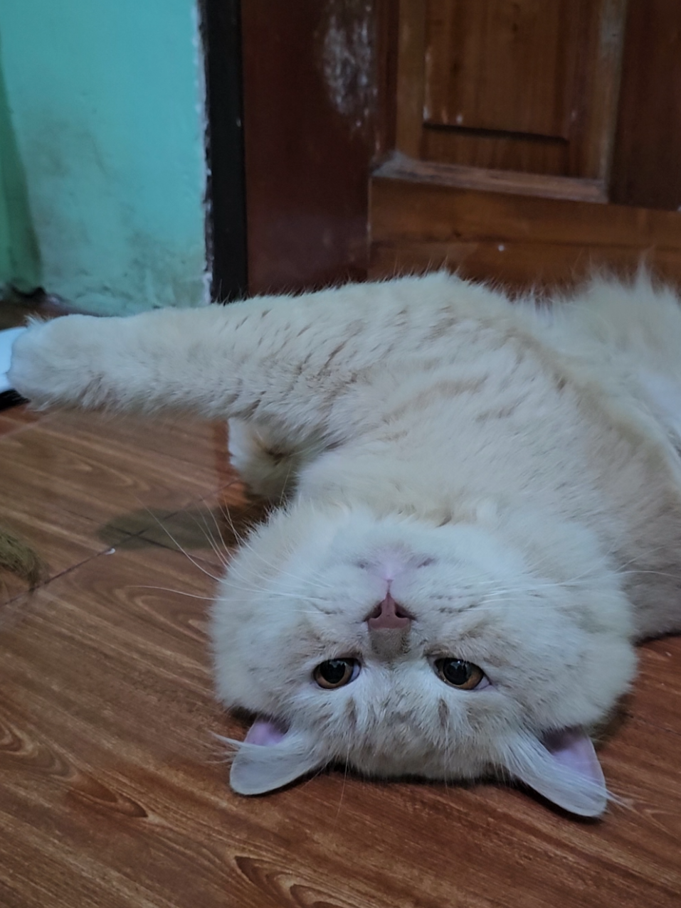 @.