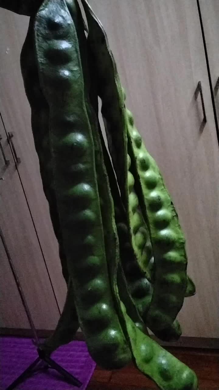 @вαвα αηggυя🍇