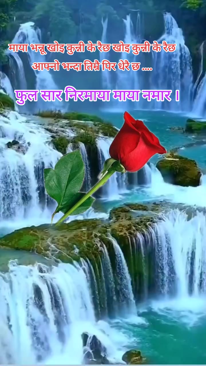 @तिम्रो मान्छे म 💫💫💫💖🇳🇵
