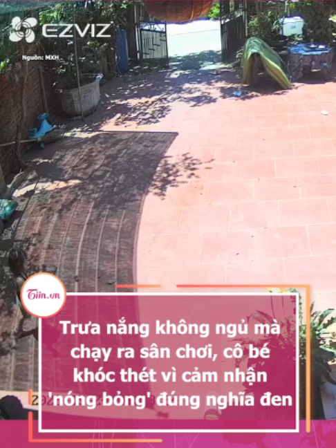 @Tiin.vn