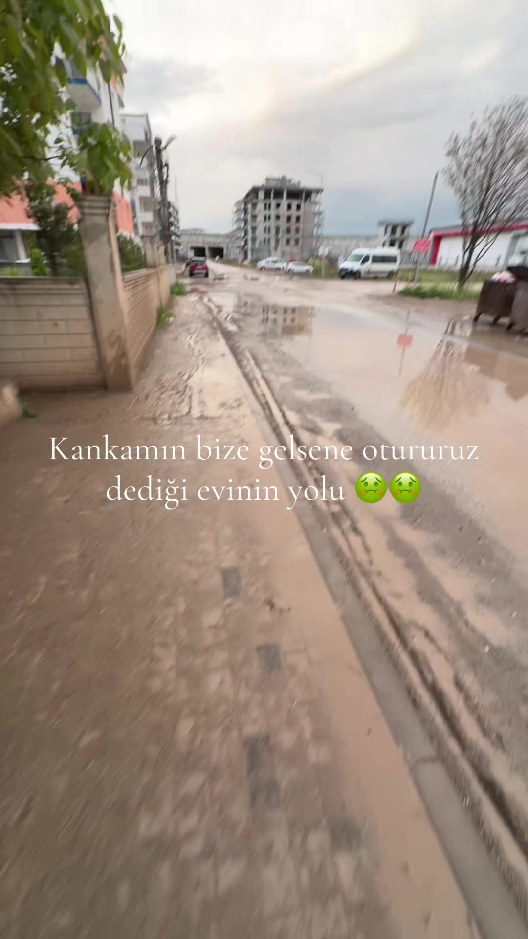 @zennurgzll
