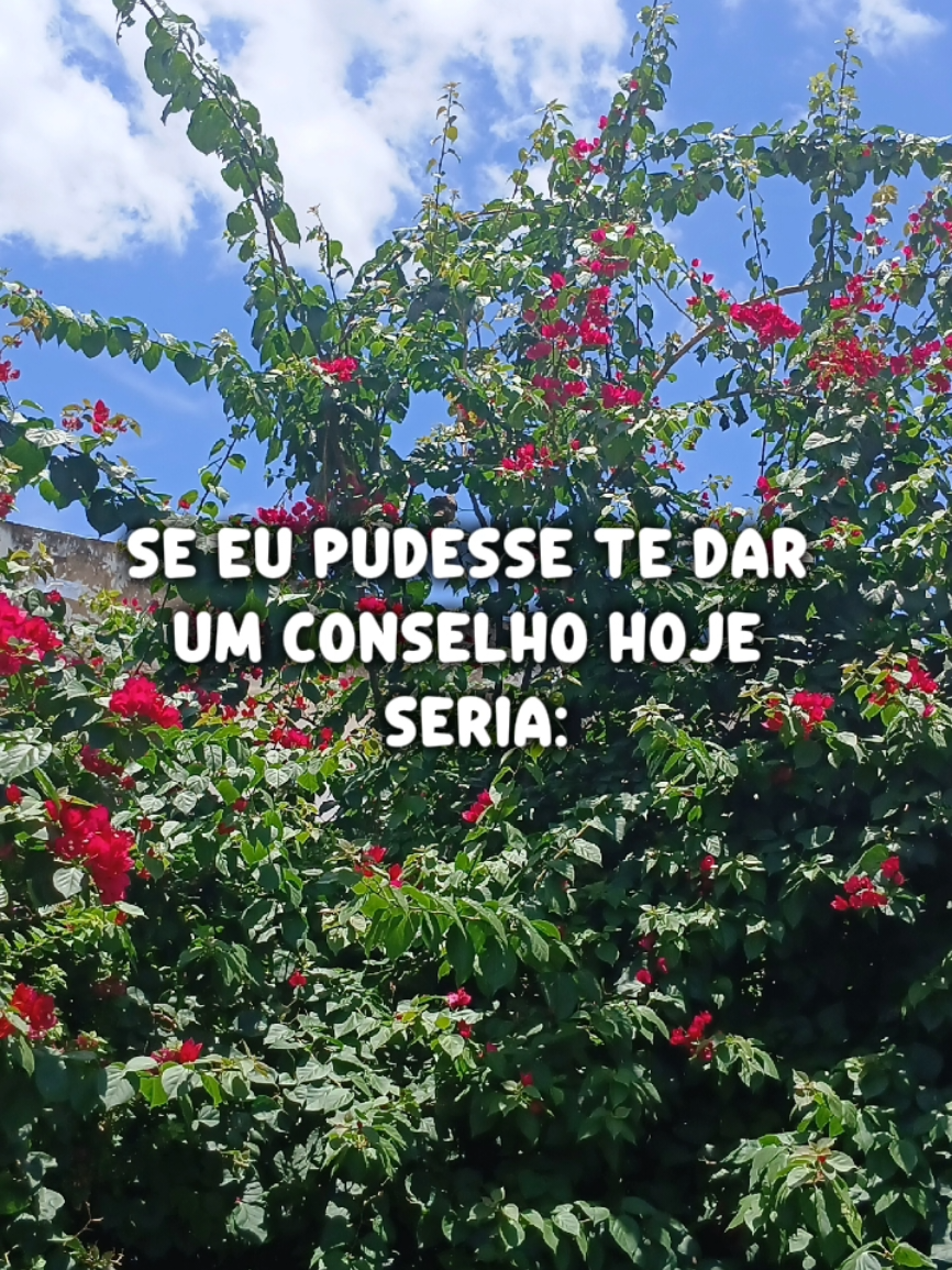 @Rose Farias