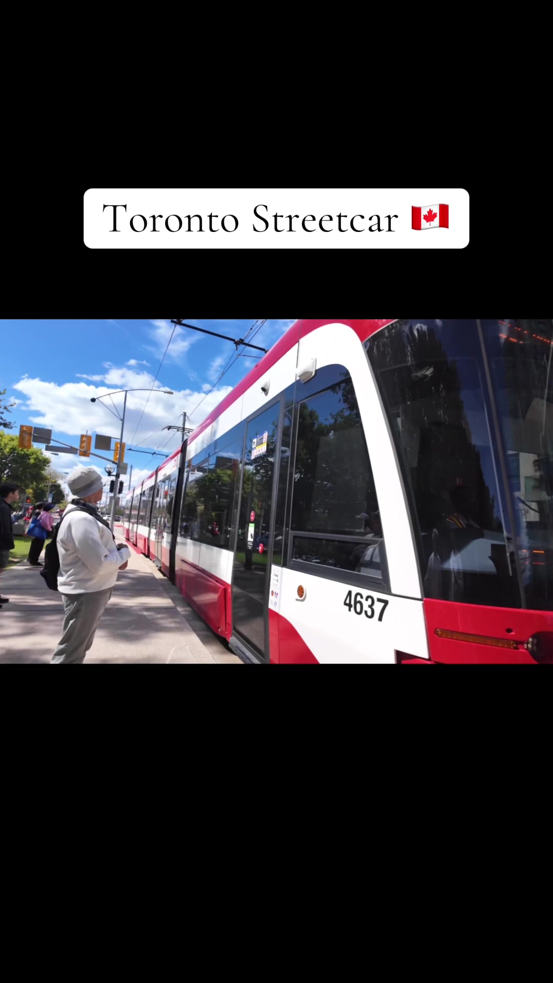 @Toronto Vibe🇨🇦