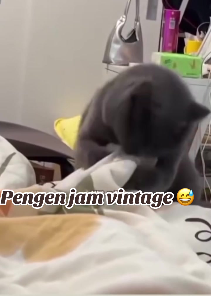 @Dirja