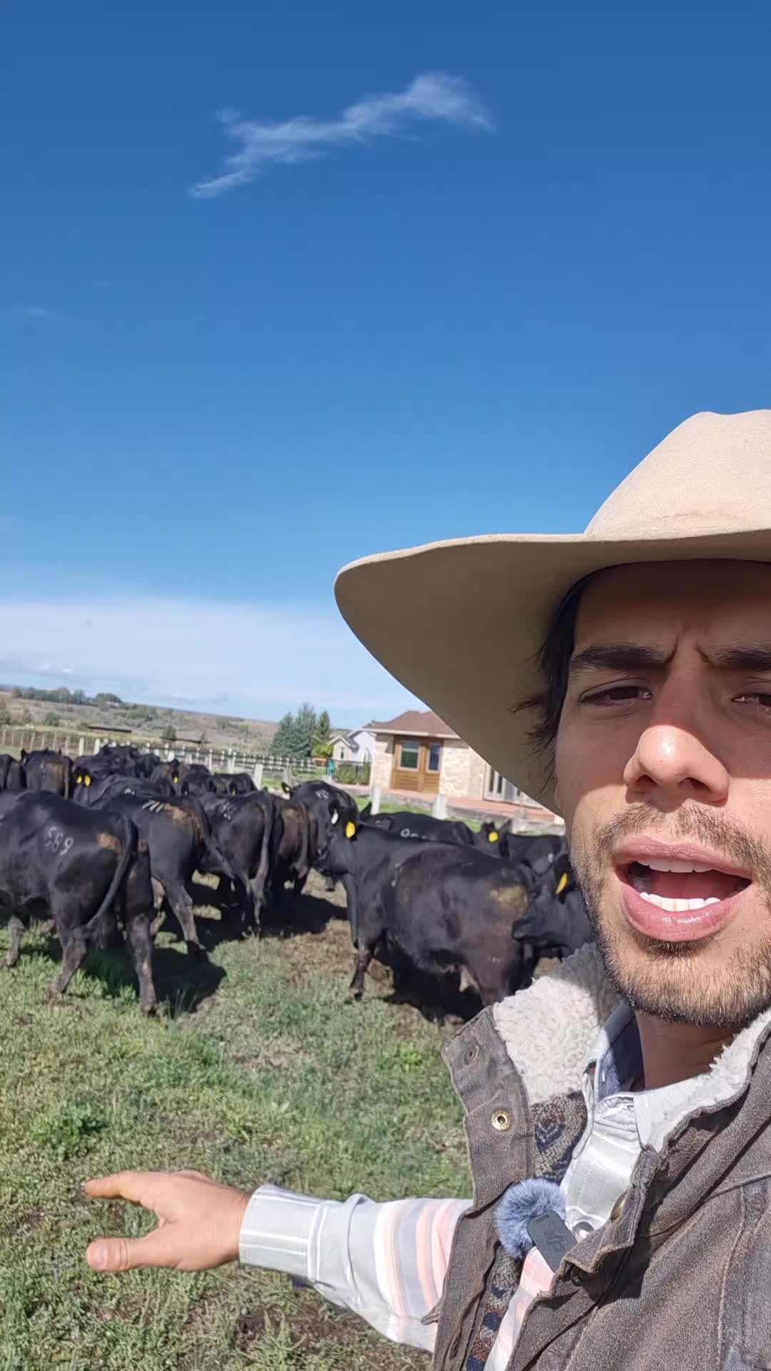 @Olavo Franco Bottino