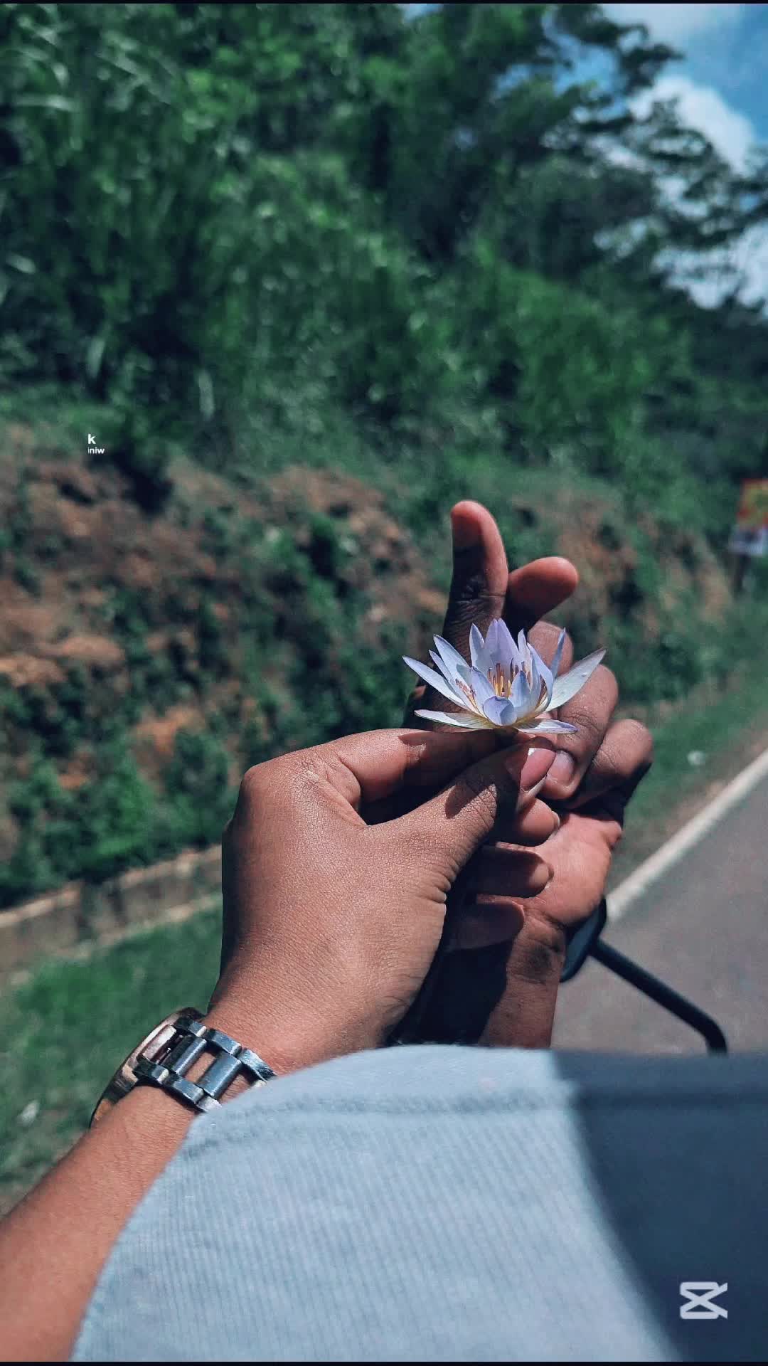 @Ashi_Music 🎶