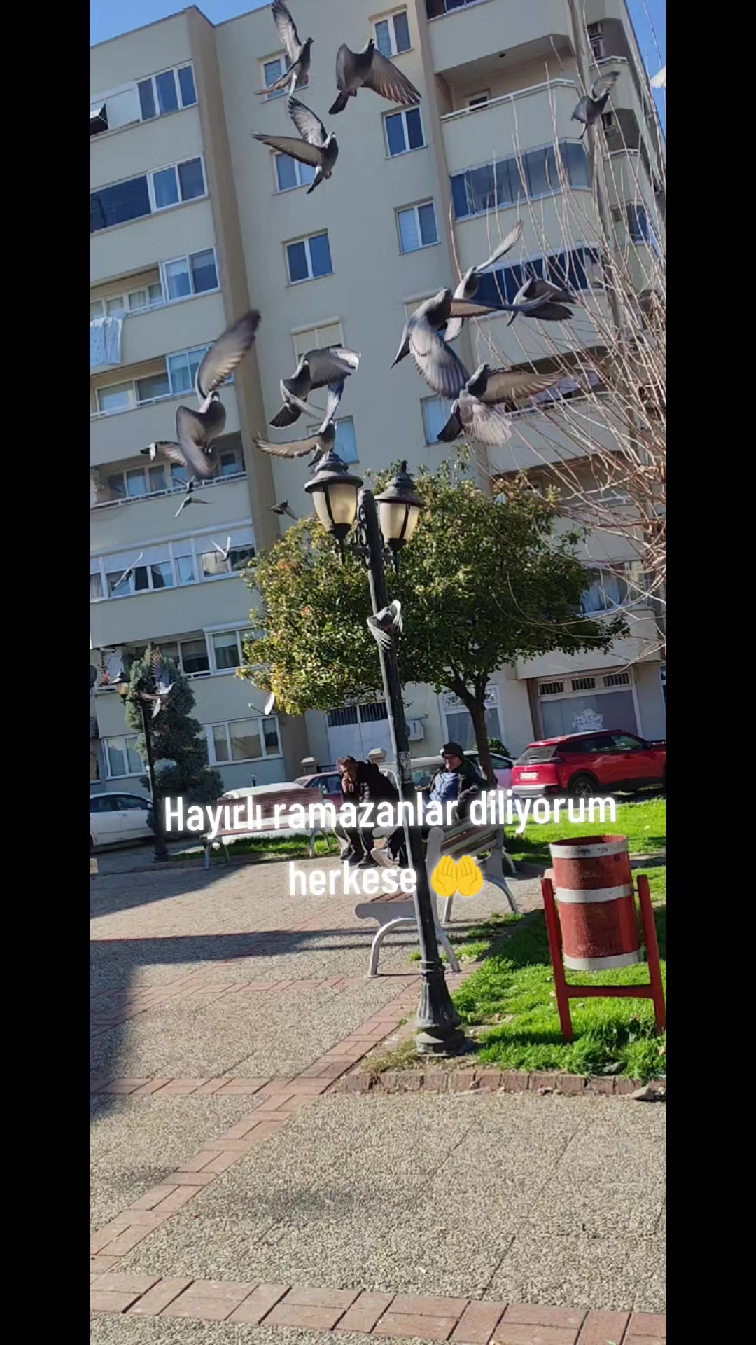 @Zeynep Nazlım
