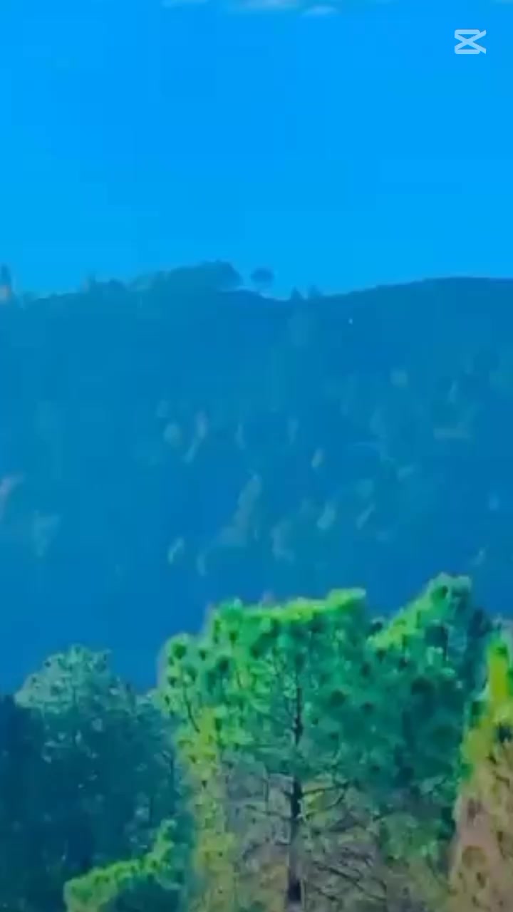 @👑سردار بادشاہ👑