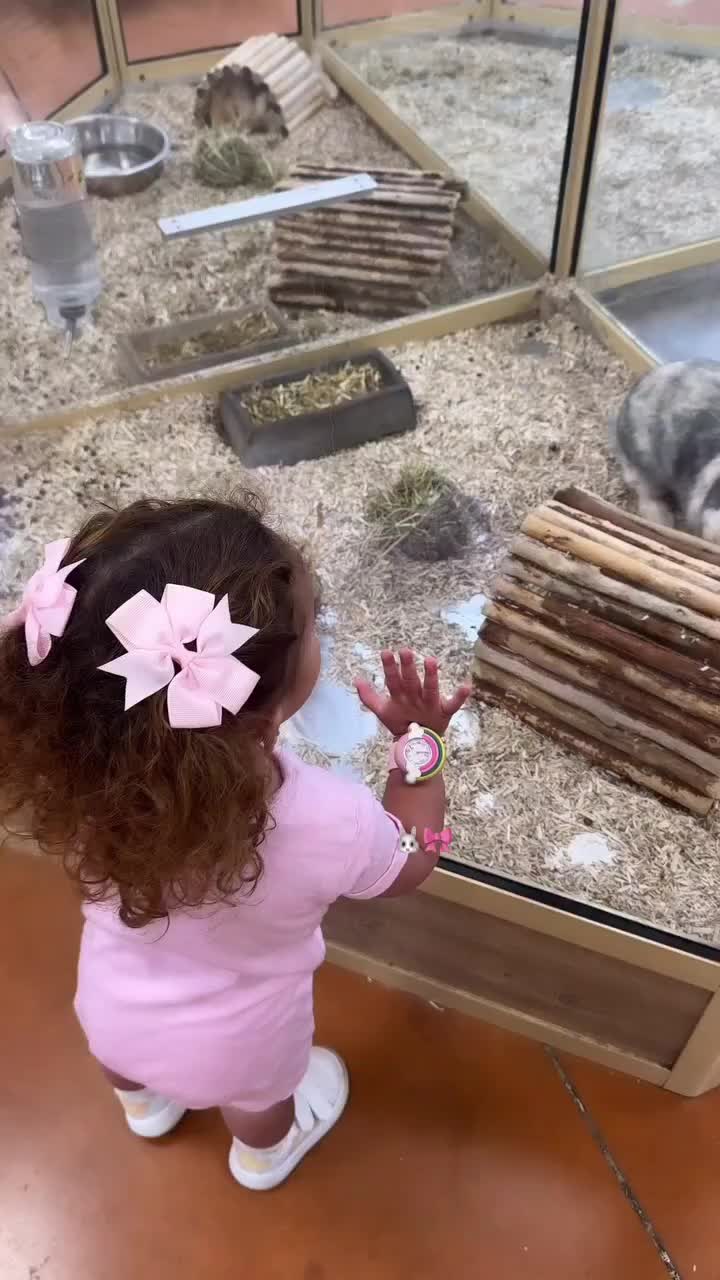 @𝐍.