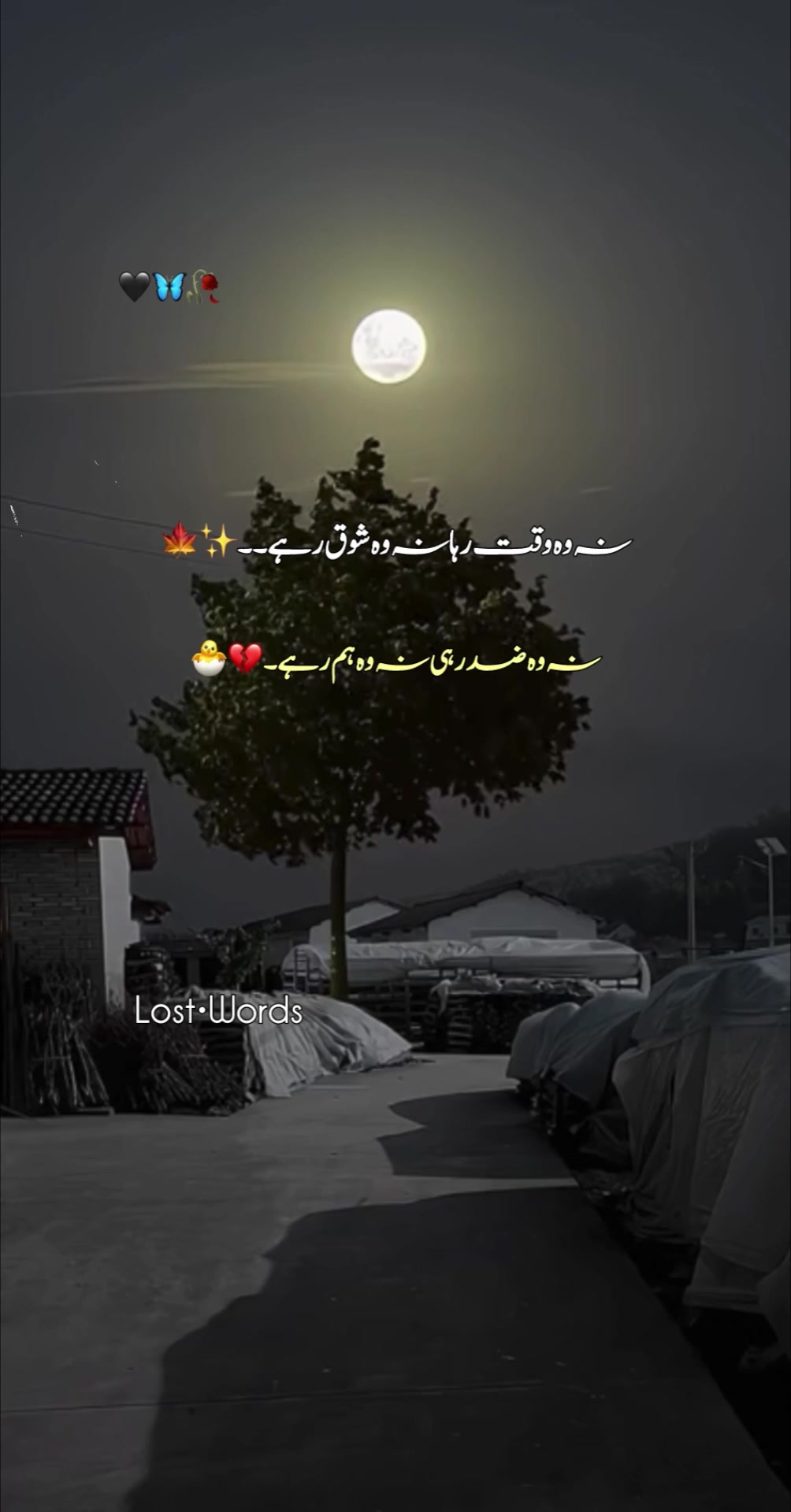 @Silᴇnt Scᴀʀs