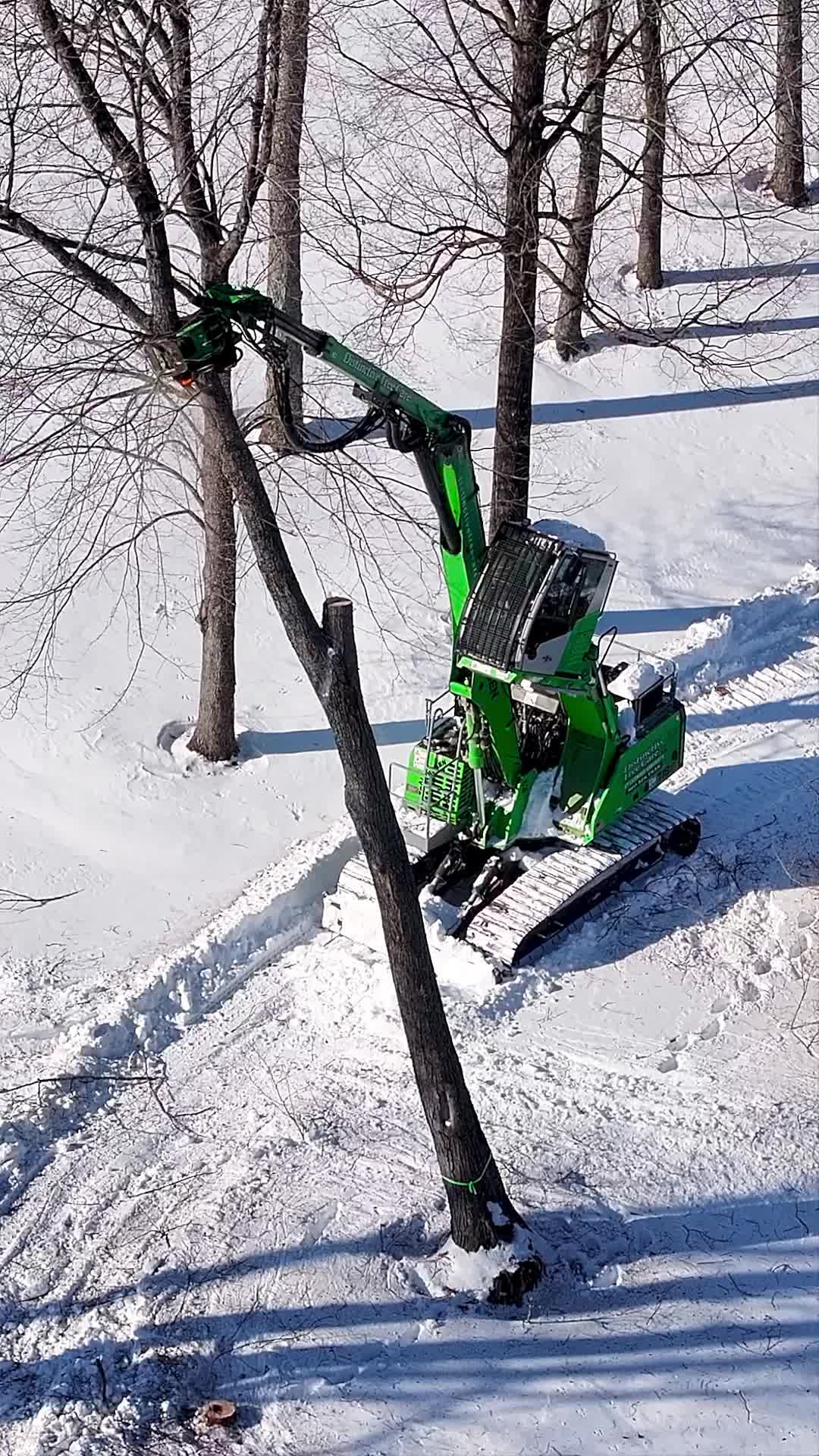 @DistinctiveTreeCare