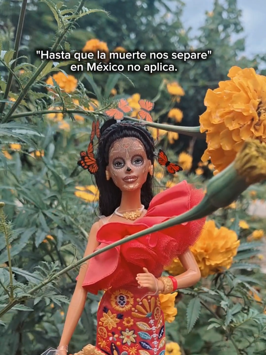 @VENENITO TOYS