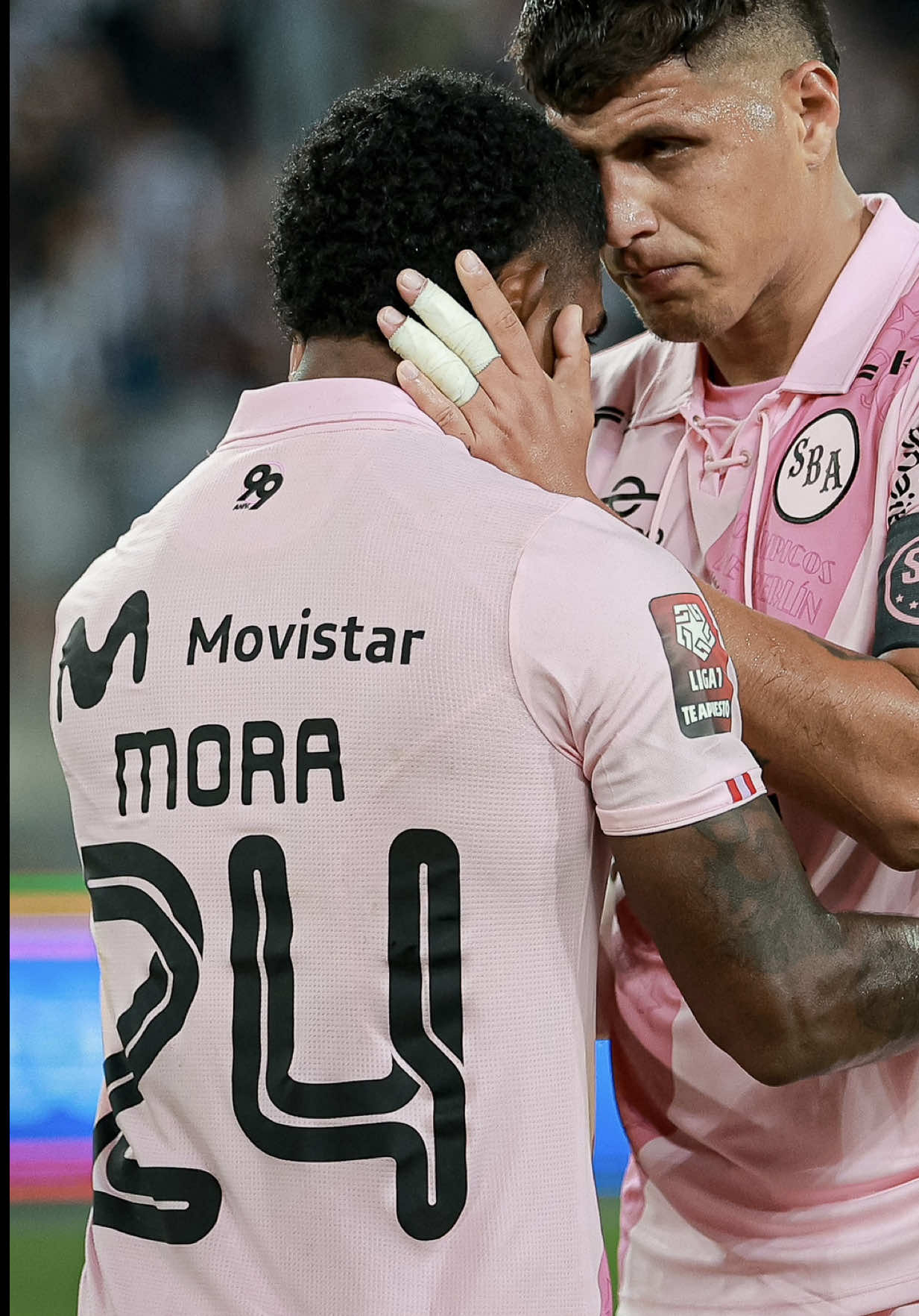@Liga de F&uacute;tbol Profesional
