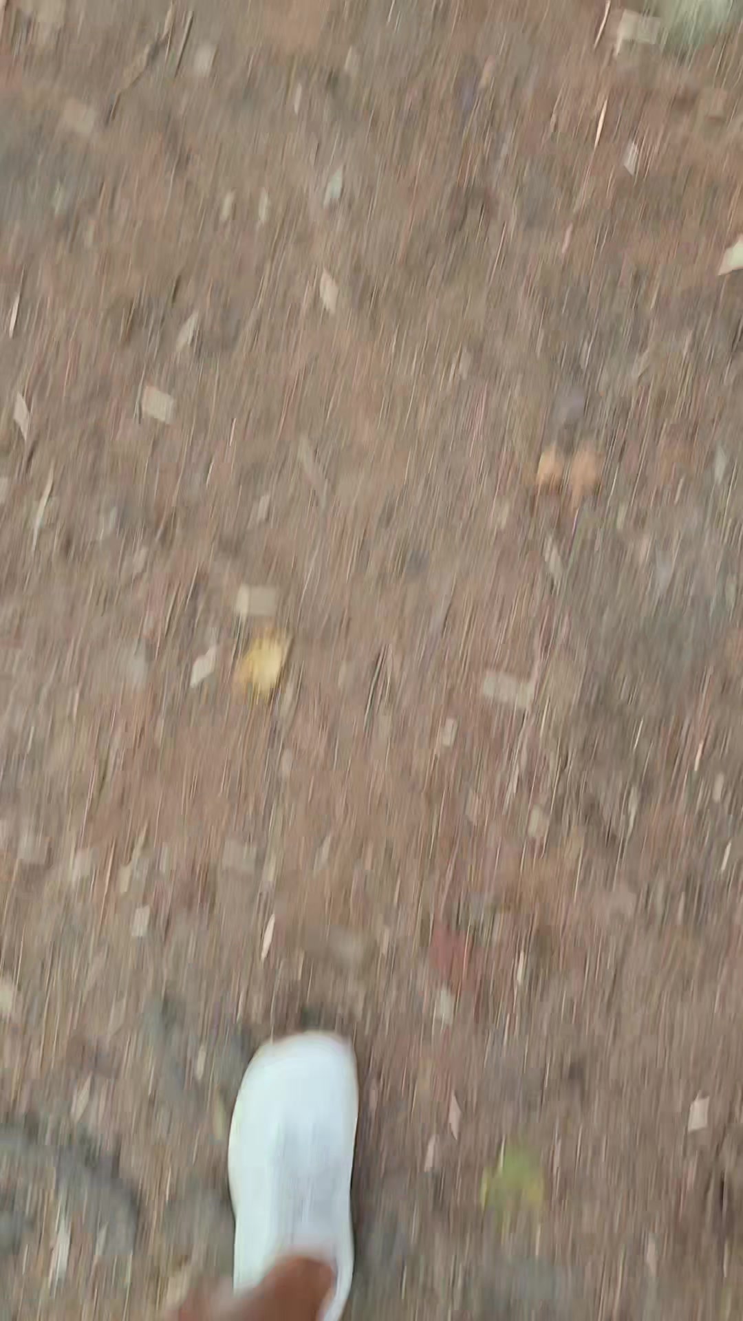 @MagsJ