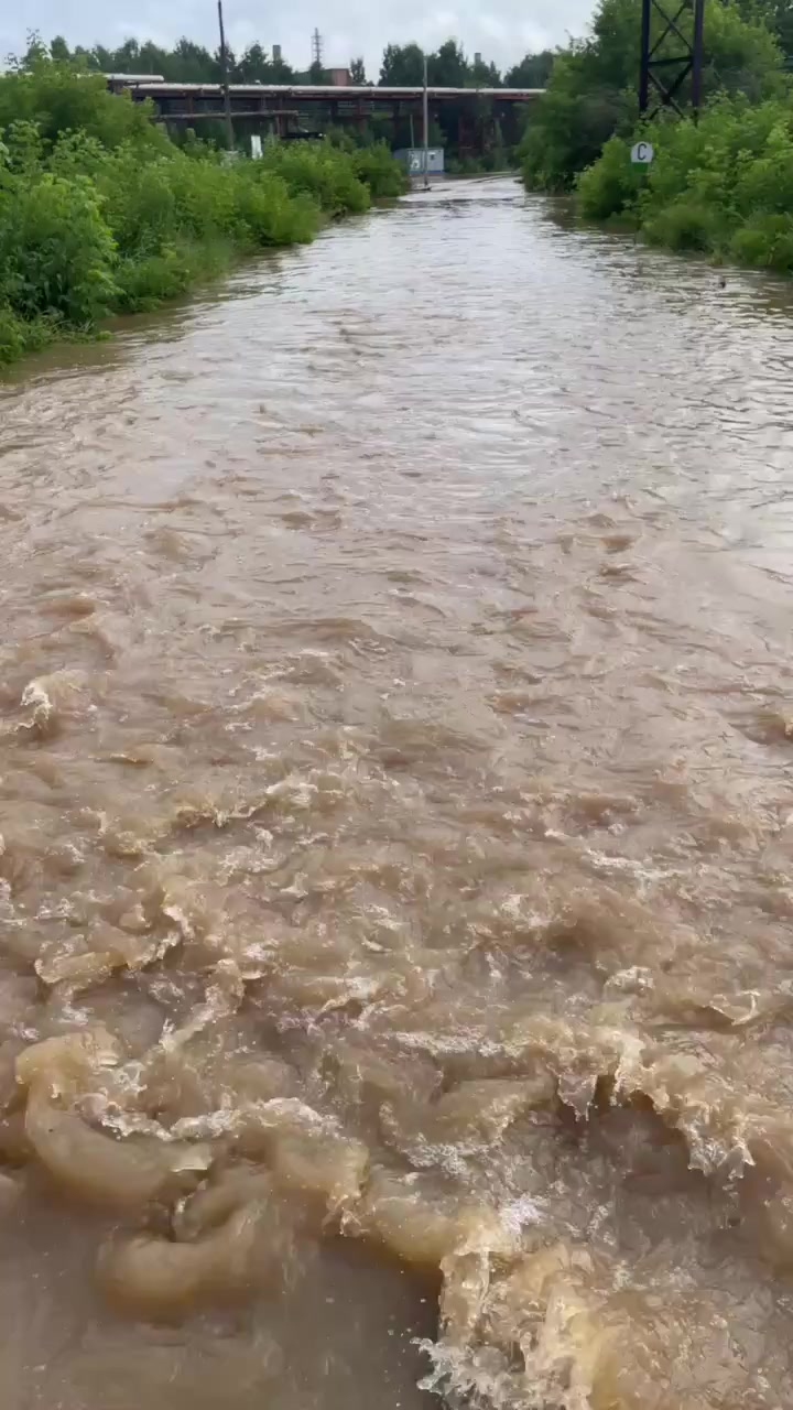 @Кудрявая