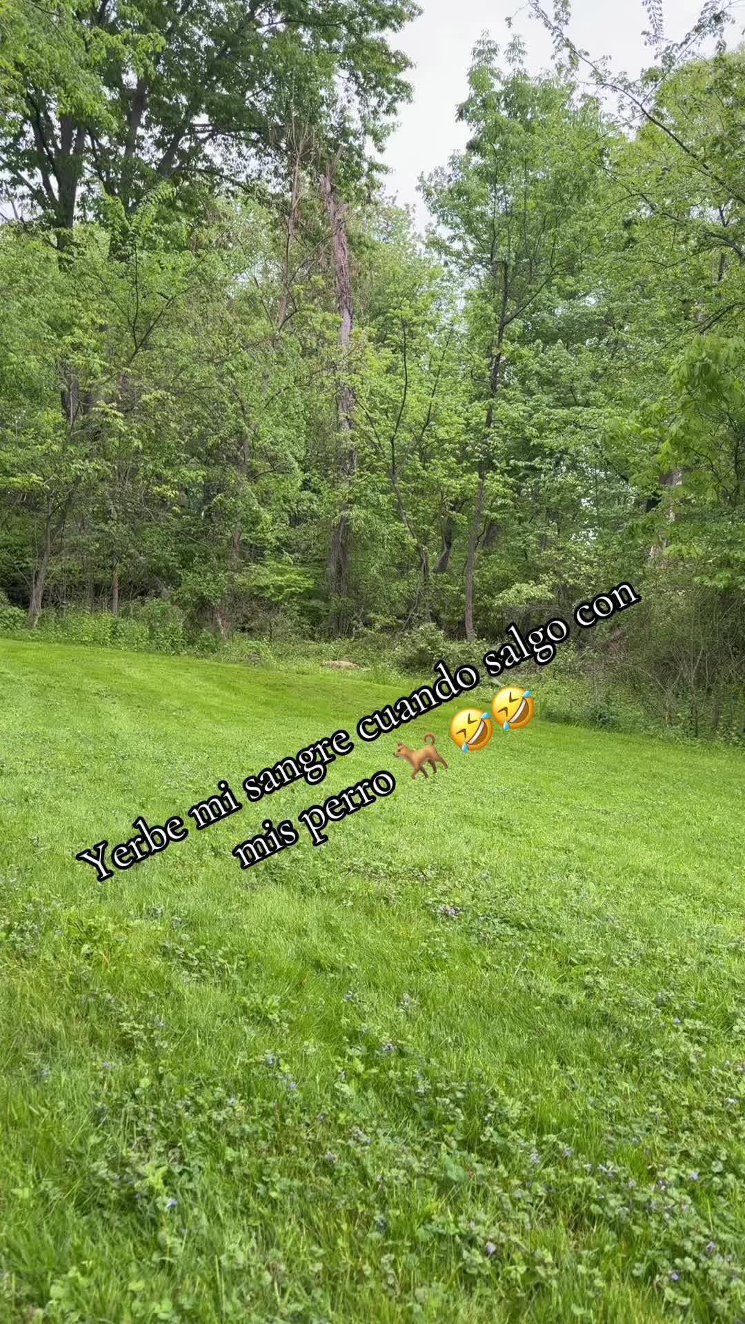 @💙❤️🅩🅤🅡🅓🅞➊➋ﮩ٨ـﮩ⚽️