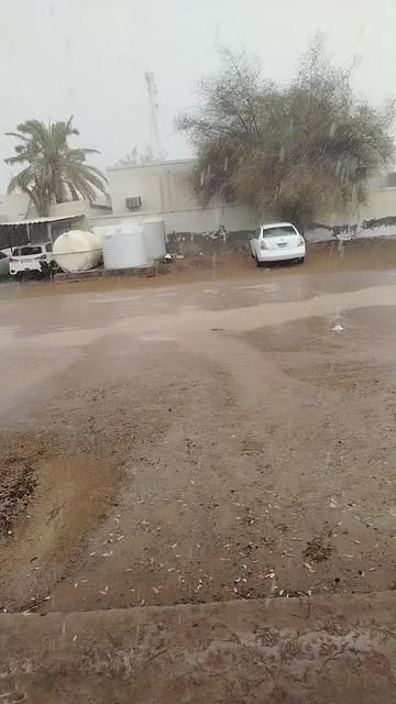 @alameenmea