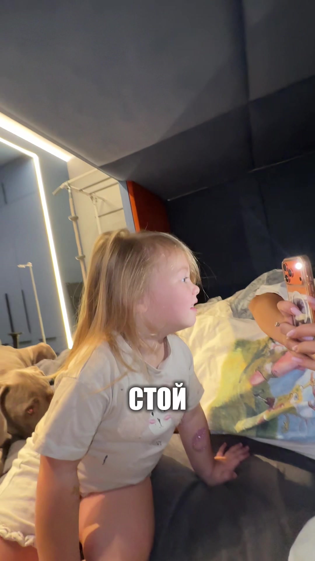 @Павловы