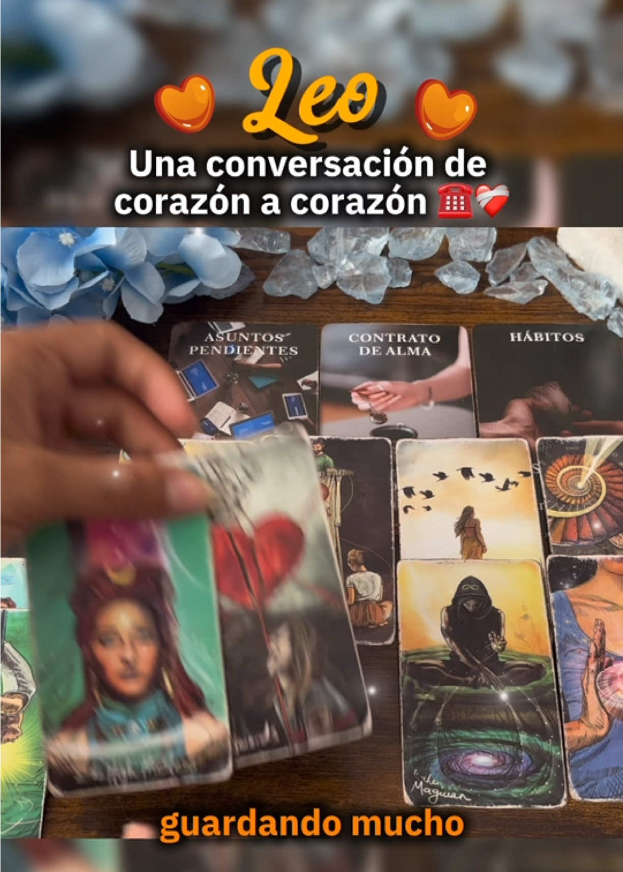 @Andy Sun Tarot ☀️