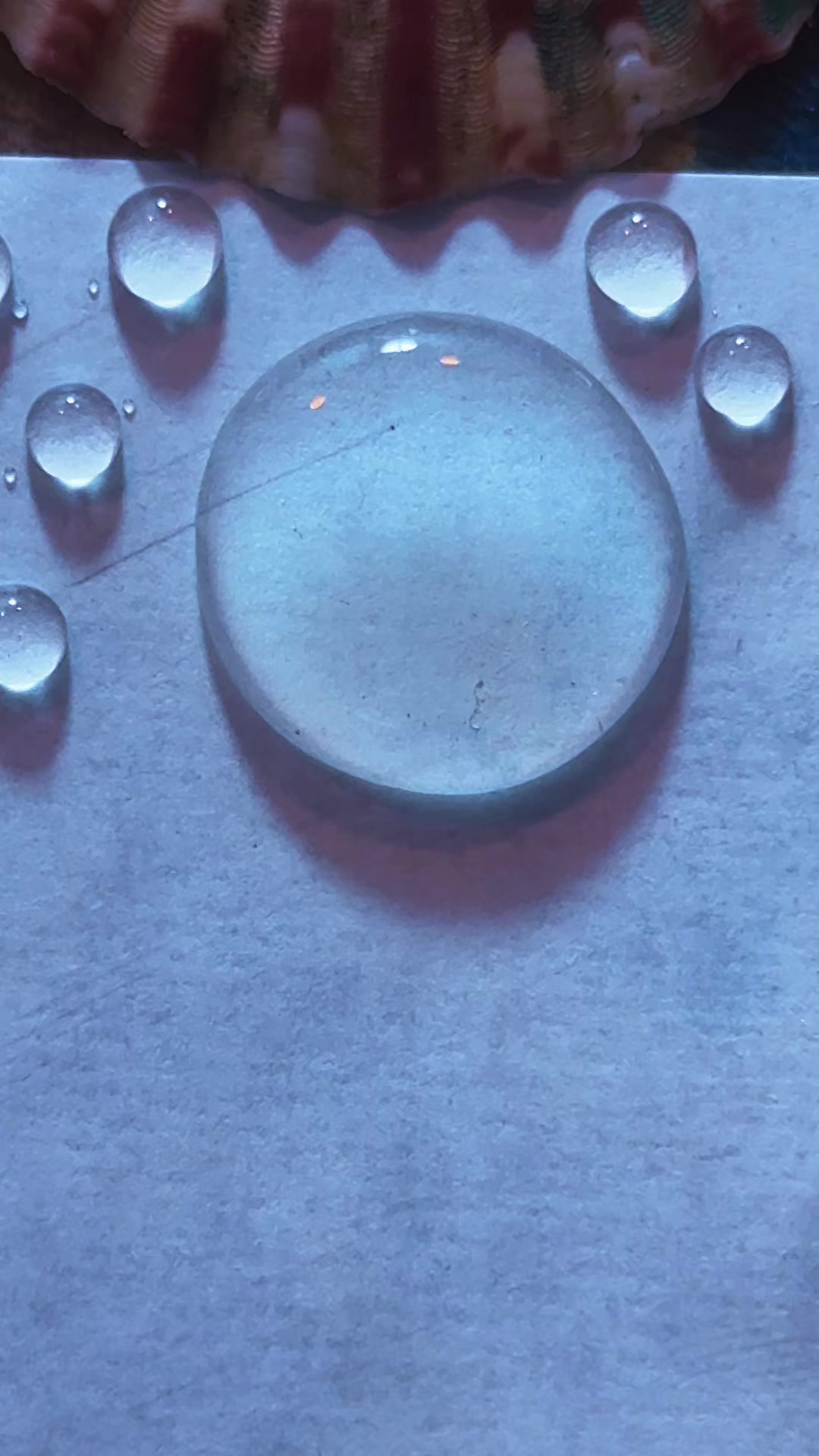 @artist 🤍