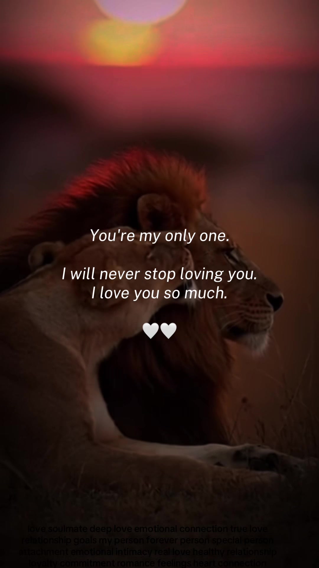 @L o v e   Q u o t e s   4 U ♡