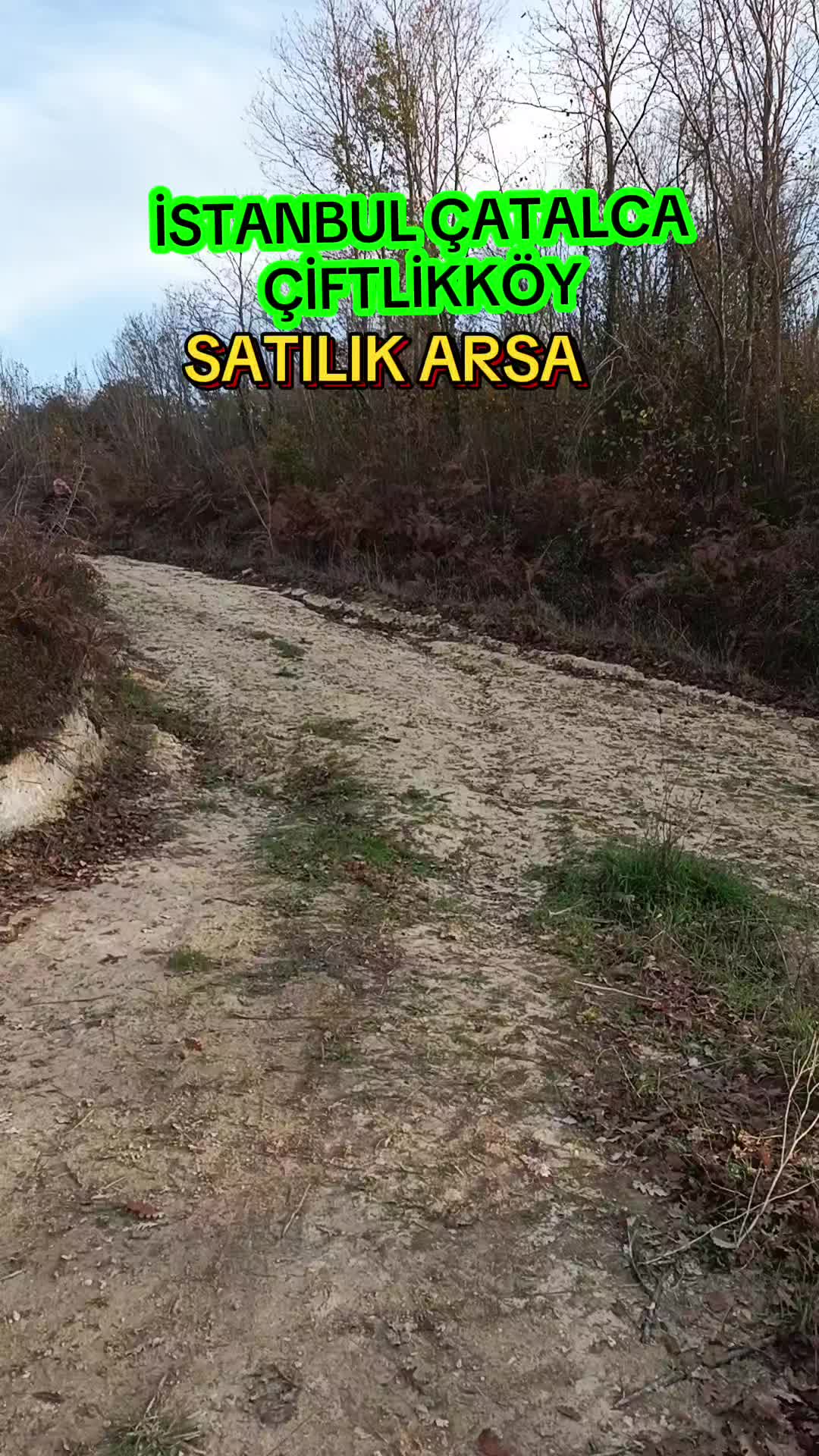 @usta grup