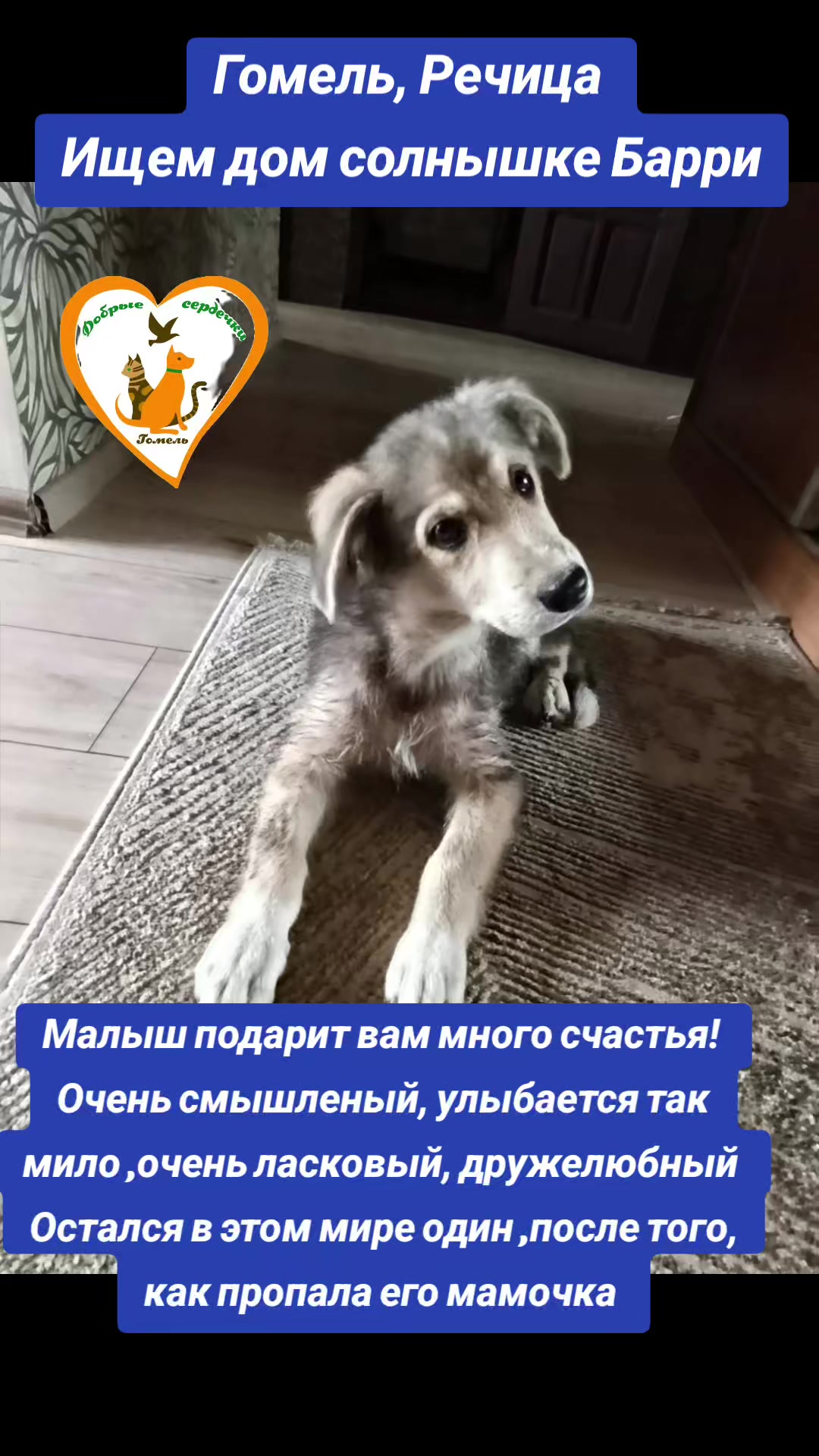 @Марина