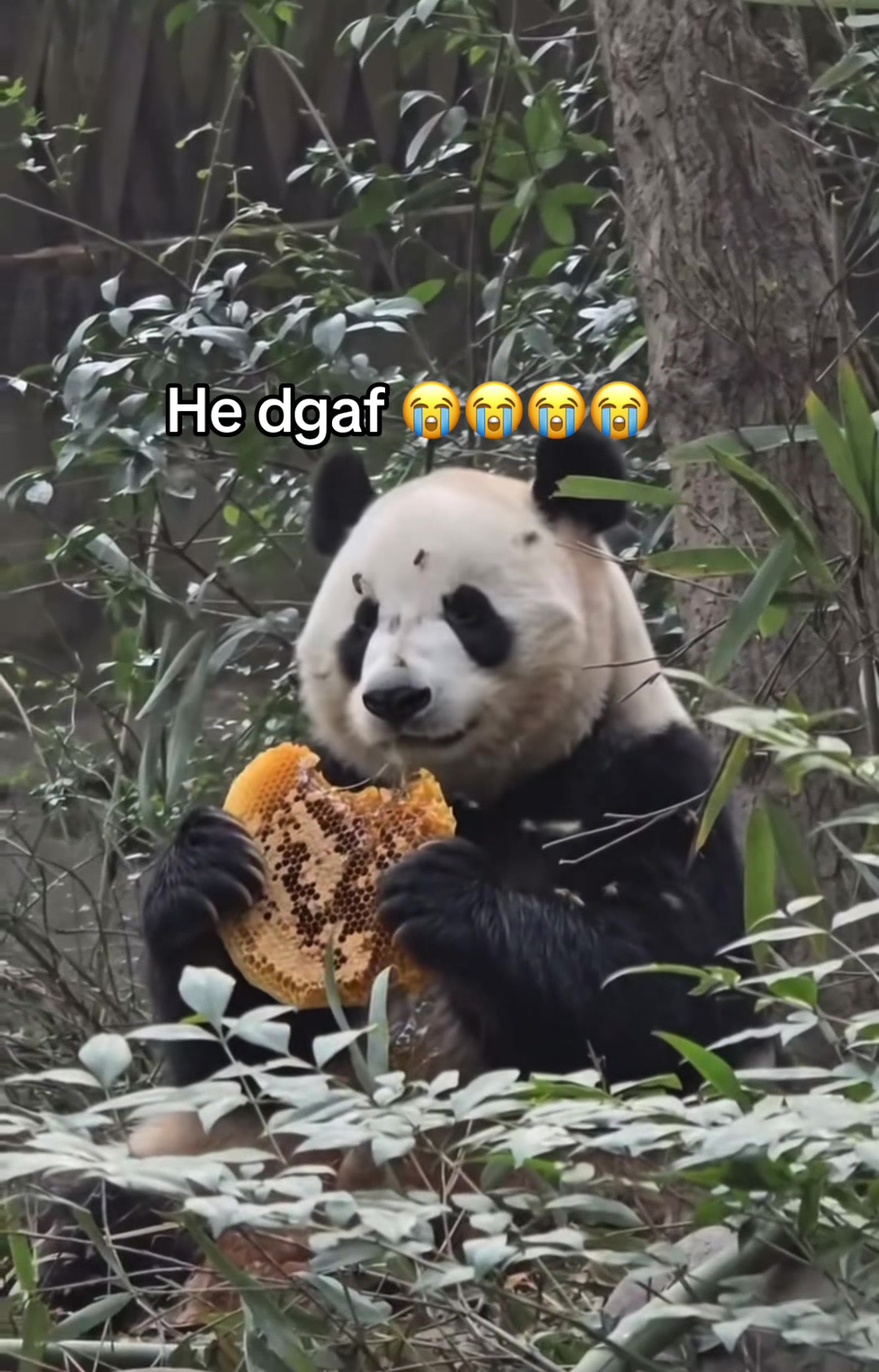 @Hxbitz