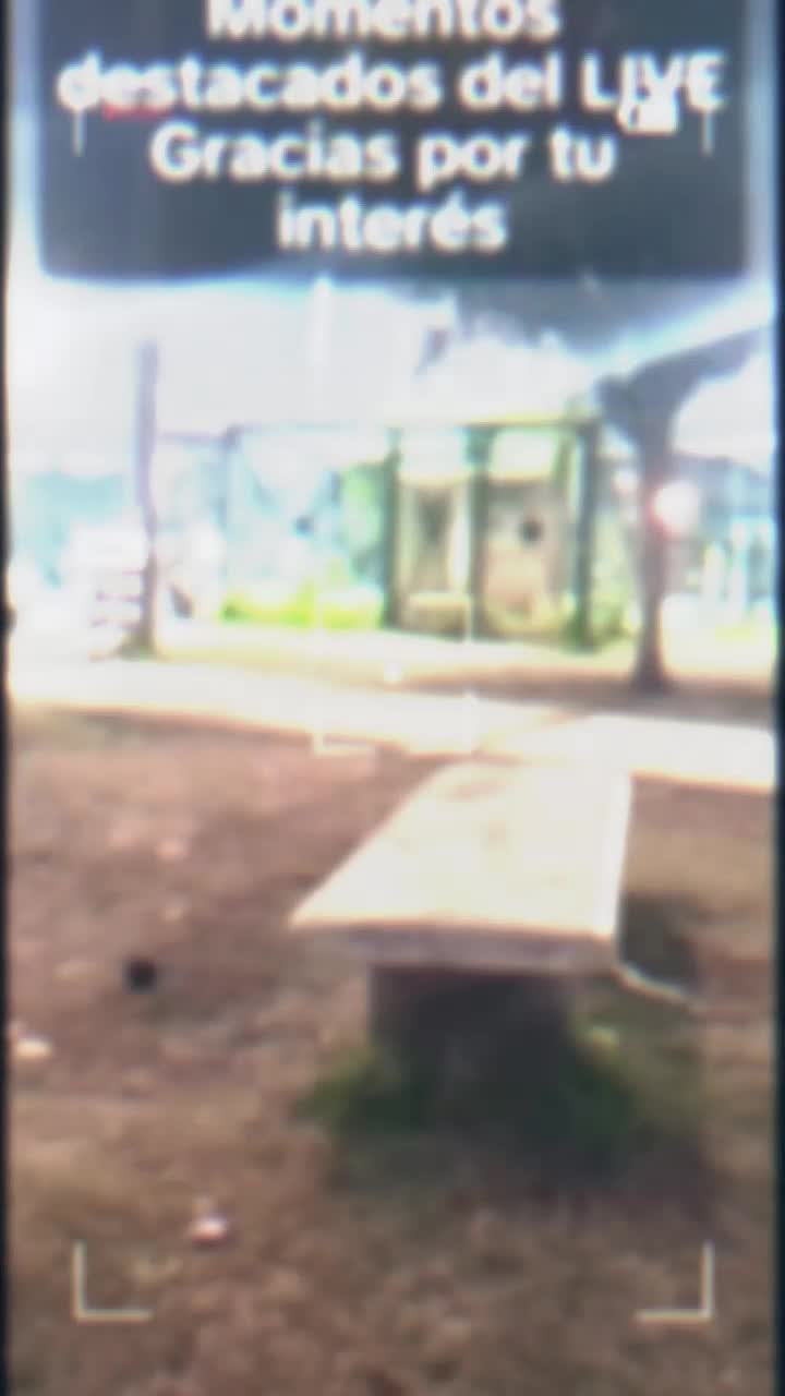 @la negrita